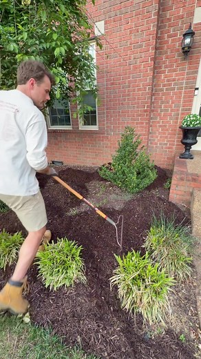 Mulch vs. Rock Landscaping: Which is Easier?