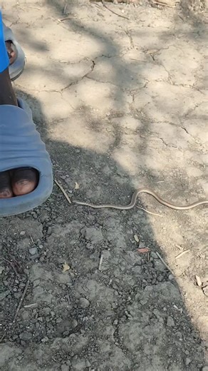 Linq bwoy 🤟 (@linq.bwoy)’s videos with original sound - Linq bwoy 🤟