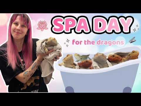 BATH TIME CHAOS?! Bathing My BEARDED DRAGONS + NAIL TRIM! ✨🦎💖