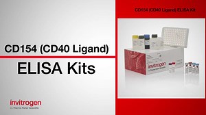 CD154 (CD40 Ligand) ELISA Kits