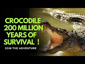 Crocodile | National Geographic Urdu Documentary | 200 Million Years of Survival