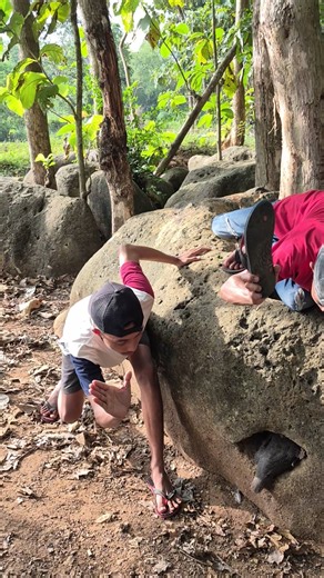 Wow, there are a lot of kids. #nature #shortvideo