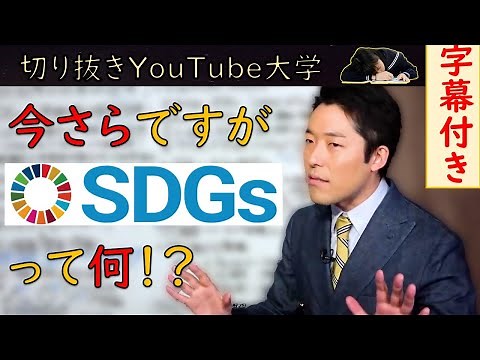 【SDGs】持続可能な開発目標ってどんな目標なのですか？【字幕付きYouTube大学切り抜き】