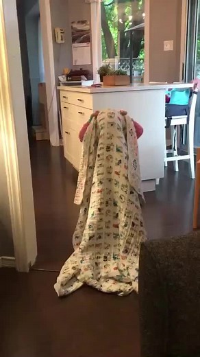 The Next Generation: Spread the Magic with Siegfried und Joy