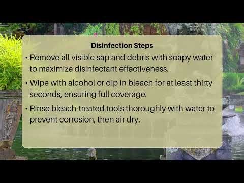 What Should I Use To Disinfect My Plant Clippers?