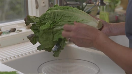 Food safety report identifies common grocery items with higher contamination rates