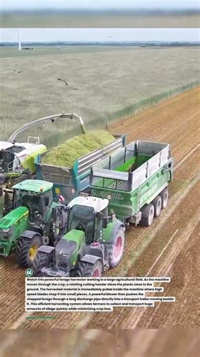 Massive Forage Harvester Loading Silage Fast #farming #agriculture #harvest