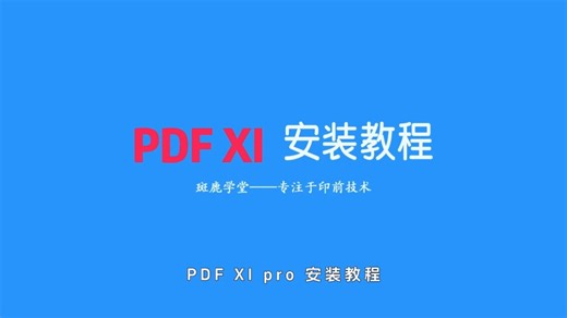 超详细PDF XI pro安装 保姆级教程 附PDF11软件下载地址