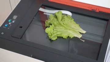 2.5D打印 介于三维与二维之间的艺术