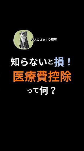 【大人のざっくり理解】医療費控除って何？｜今さら聞けない制度をざっくり解説