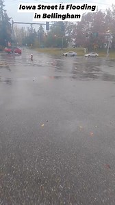 Iowa Street in Bellingham is flooding as heavy. Rain continues throughout the area. #bellingham #news #AtmosphericRiver | Bellingham Metro News