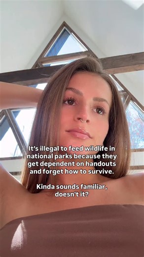 Feeding wild animals makes them weak. Feeding people endless handouts does the same. In national parks, it’s banned—because dependence kills instinct. Yet in society, we encourage it. Too much reliance, not enough resilience. When people forget how to stand on their own two feet, the whole system starts to crumble. #AmericaFirst #selfreliance #truth #politics #ebt #trending #snapbenefits | Bold & Brave Outfitters