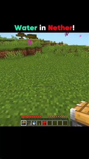 Minecraft Animation Showcase