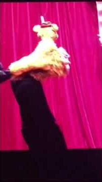 the muppets take the O2 full theme song I combine all the intro I could find hope you enjoy 😊😊😊