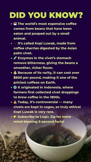 ☕ The $600 Cup of Coffee: Made From Poop!😲