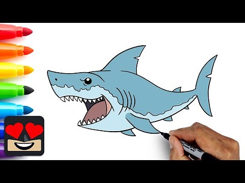 How To Draw a Great White Shark