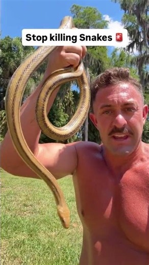 Unfortunately it’s a common instinct for people to just “off” a snake