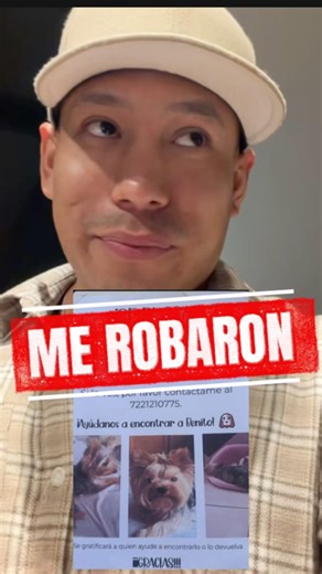 🤬 MY DOG WAS STOLEN - Yulay #puppies #yulay #shorts #news #mexico