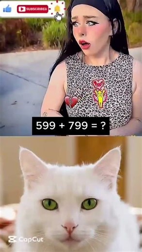OMG 💀 #cat #memes #dance #trending #funny