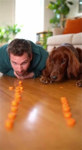 Human vs Dog Giant Feast Race – The Most Insane Food Battle Ever!