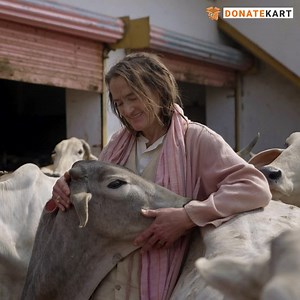 472K views · 4K reactions | Sudevi Mataji is on a mission to help hundreds of cows have a safe and protected home. The most special thing about Radha Surabhi Gaushala is that every cow, calf and bull has a name and identity. Today, they care for over 3000 helpless, abandoned and injured cows. She now needs your help to feed them. Donate Here: https://bit.ly/Feed-Gaumatas | Donatekart | Facebook