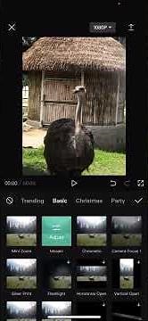 How To Make A Video Pixelated On CapCut NEW UPDATE November 2022
