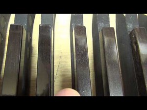 ebony piano sharps restoration (after)