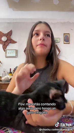 Gatitos y emociones: ¿Cómo reaccionan ante la tristeza?