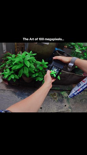 Exploring the Hasselblad X2D 100C: A 100 Megapixel Masterpiece