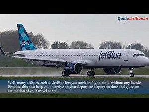 How do I check my flight status on JetBlue?