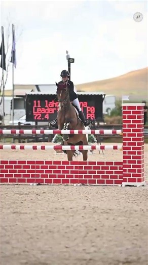 what a jump #horse #showjumping #horsetrack
