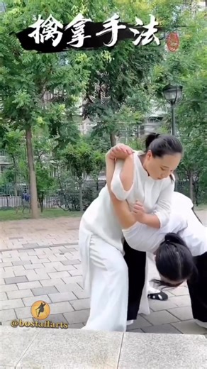 What are your thoughts on this "Handshake Submission"? 🤔❓ . . . #martialarts #selfdefense #handshake #defense #kungfuwomen | Martial Arts