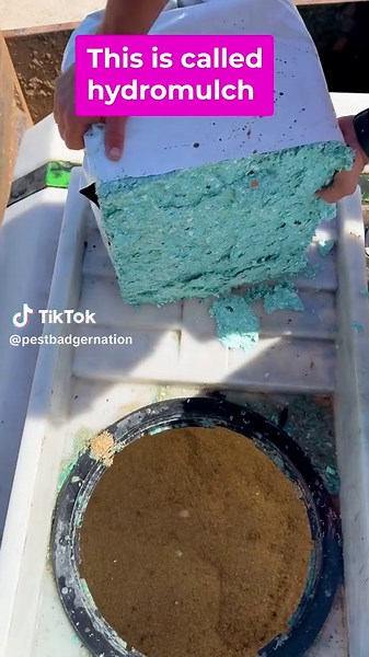 How to Grow Grass the EASY Way with Hydroseeding