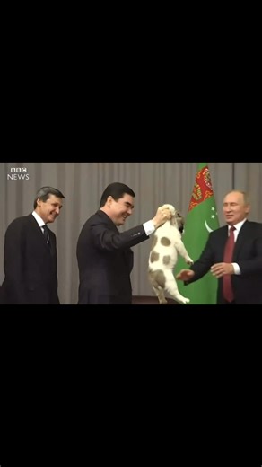 1.3M views · 32K reactions | Politics does not apply to dogs lol 12 years ago,  Japan gifted  Putin an Akita named Yume. Putin rescue him from the way he was being held and gave him a kiss on the forehead, but 12 years later, he brought him out to say hello! You have to watch this. ￼梁 | Firearms trainer-Marine- Tori Branum | Facebook