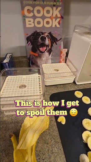 Making Homemade Banana Chips and applesauce for My Dogs 🍌🍎