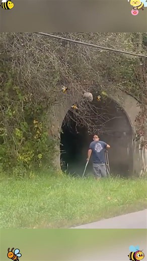 The best wasp removal fails#funny #fail