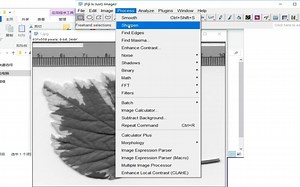 imageJ FIJI 图像处理分析 下载方法，教你零基础掌握