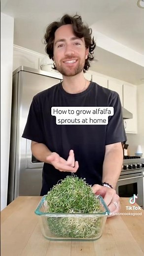 How to grow alfalfa sprouts: the easiest way #sprouts #homegrown #diy #alfalfa #fypageシ