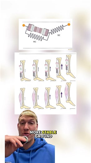 How PRE-TENSION Improves the Stretch Shortening Cycle 🤯