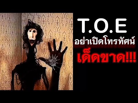 Open the character file The Locust | T.O.E