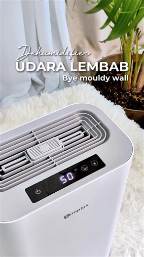 How to Keep Your Room Mold-Free with a Dehumidifier