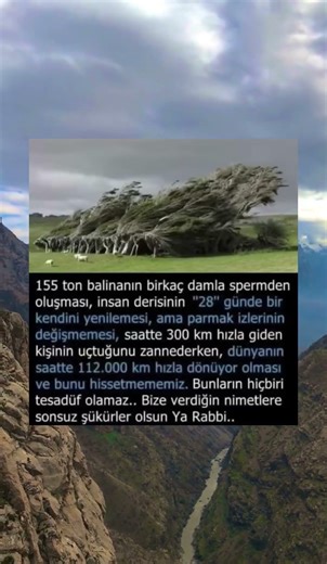 “Bize verdiğin nimetlere sonsuz şükürler olsun Ya Rabbi.”
