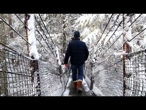 Capilano Bridge in Snow