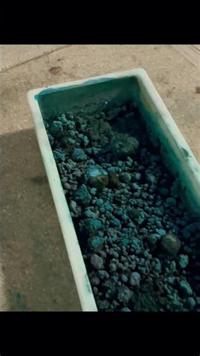 The full process of how I made the pigment will posted Saturday. #handmadepigment #manganesegreen