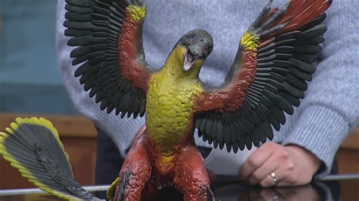 Dinosaurs Still Live: New exhibit opening March 13th at the Springfield Museum