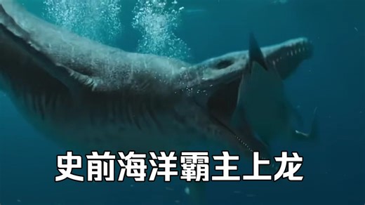 头骨2.5米，咬合力是湾鳄3倍，它才是真正的海洋终结者！