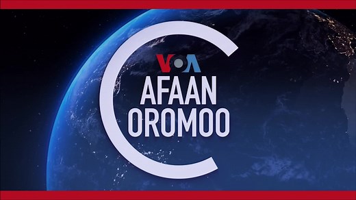 Oduu guyyaa harraa. #VOAAfaanOromoo | VOA Afaan Oromoo