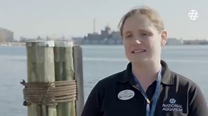 71K views · 1.4K reactions | After a year in our care, Raven, the...