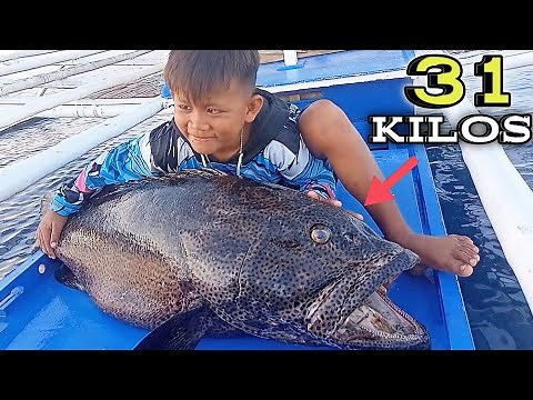 GIANT FISH HALO'S KASING laki ni idol Inday | Bryan Fishing Tv