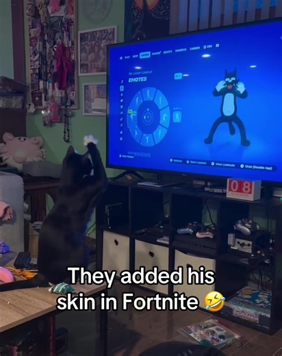 Fortnite Update: New Cat Skin Released!